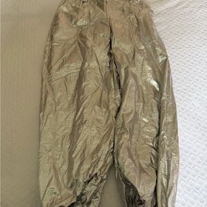 Zara Metallic Silver Pants